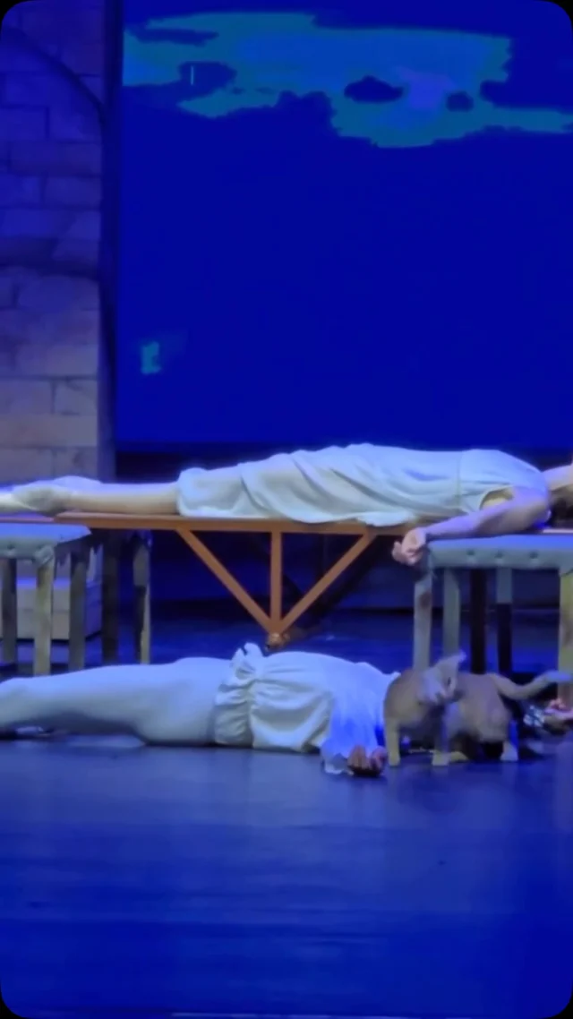 A cat casually walked onto the stage during a performance of Romeo & Juliet… and decided to stay for the entire tragic finale. 😹🎭
#Ballet #RomeoAndJuliet #Cat #Theatre #Dance